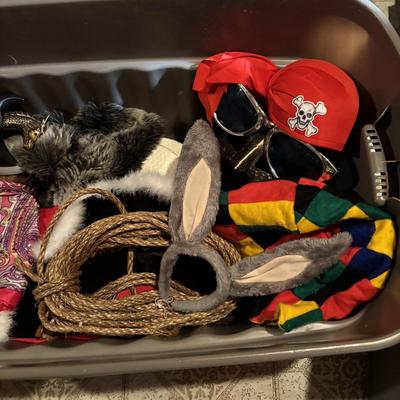 LOT 386: Costumes & Accessories, T-Shirts, Fleece Blankets and More