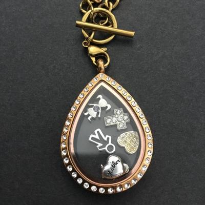 Cute teardrop, memory, locket, toggle necklace