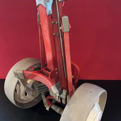 Wilson Gold Caddy