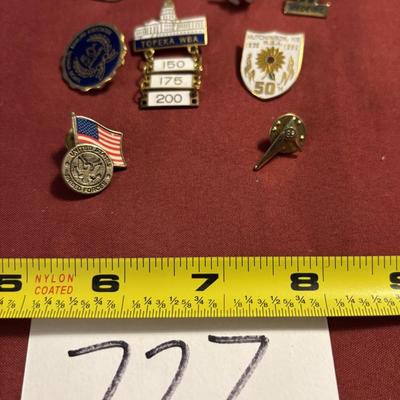Pin Lot