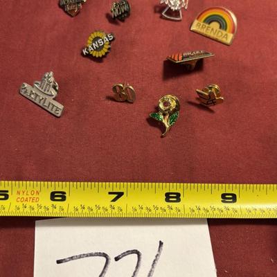 Pin Lot