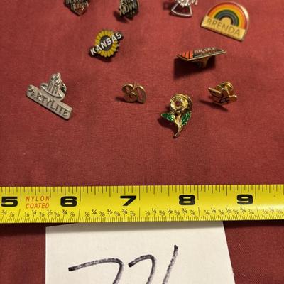 Pin Lot
