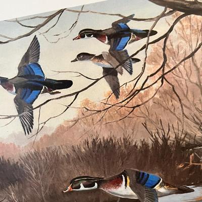 Lot 177 Bird Prints