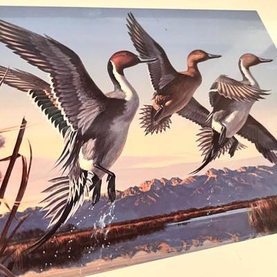 Lot 177 Bird Prints