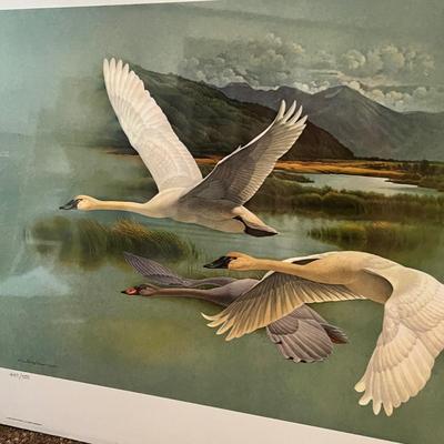Lot 179 Geese Prints