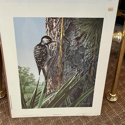 Lot 182 Birds prints