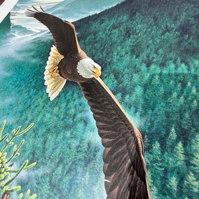 Lot 199 Eagle Print in envelope