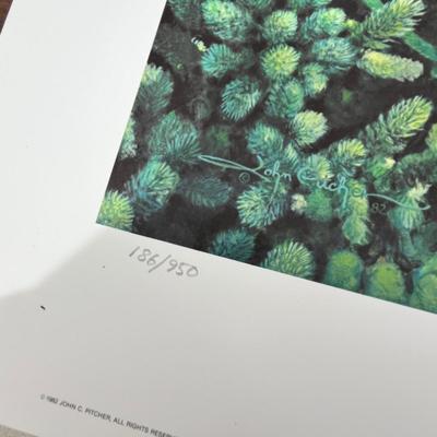 Lot 199 Eagle Print in envelope