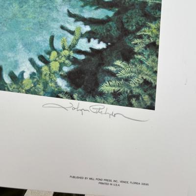 Lot 199 Eagle Print in envelope