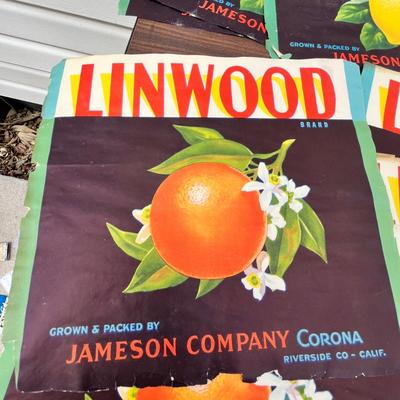 Lot 200 Orange labels