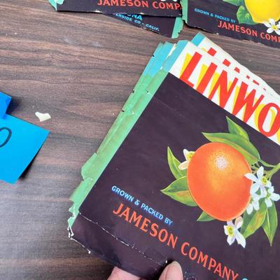 Lot 200 Orange labels