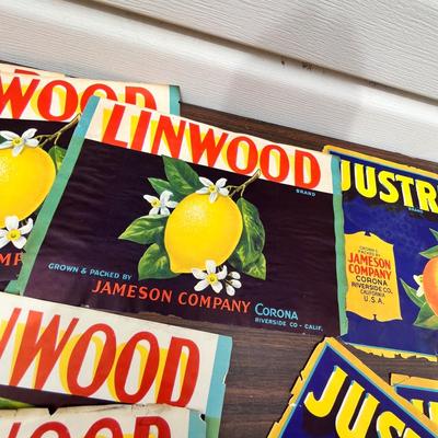 Lot 200 Orange labels