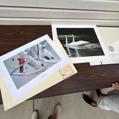 Lot 201 Bird prints