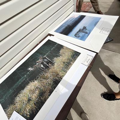 Lot 202 Wild life prints