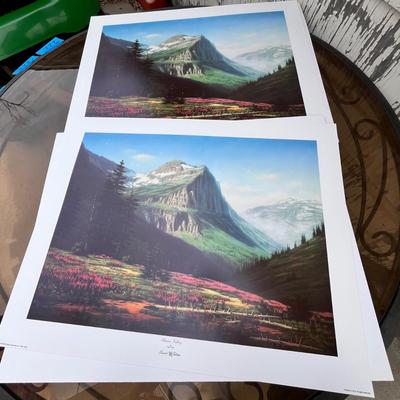 Lot 209 Mountain scene