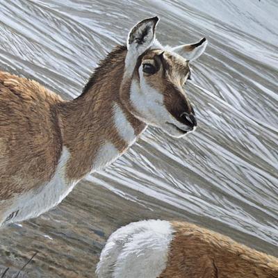 Lot 212 Wildlife prints