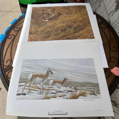 Lot 212 Wildlife prints