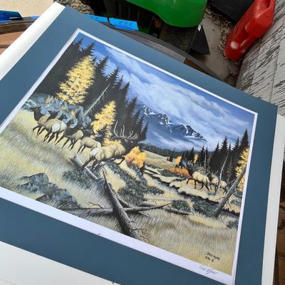 Lot 213 More wildlife prints