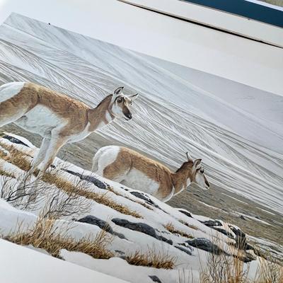 Lot 213 More wildlife prints