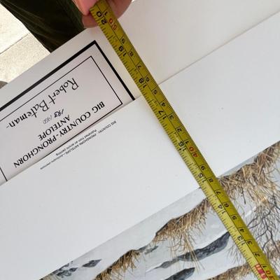 Lot 213 More wildlife prints