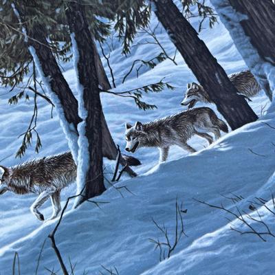 Lot 214 Wild life prints wolves