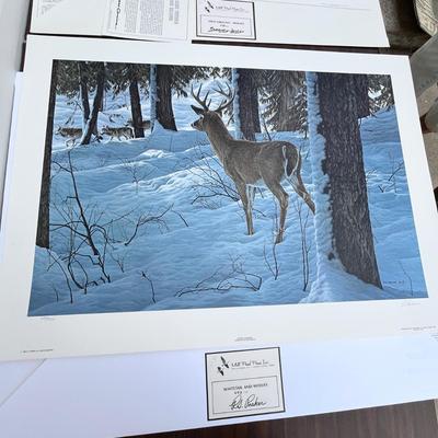 Lot 214 Wild life prints wolves