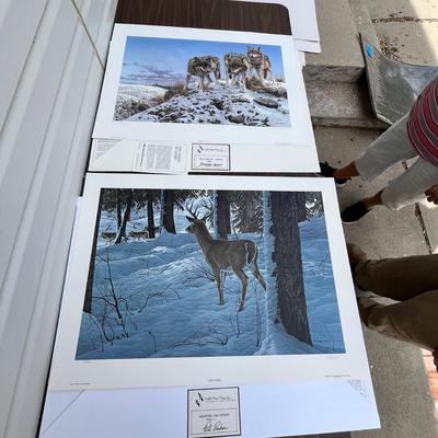 Lot 214 Wild life prints wolves