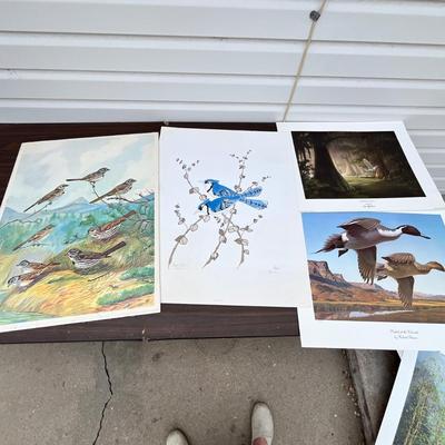 Lot 218 Bird prints