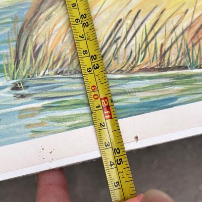 Lot 218 Bird prints