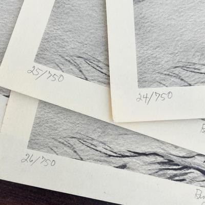 Lot 232 Lot of bird prints