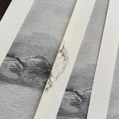 Lot 232 Lot of bird prints