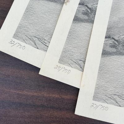 Lot 232 Lot of bird prints