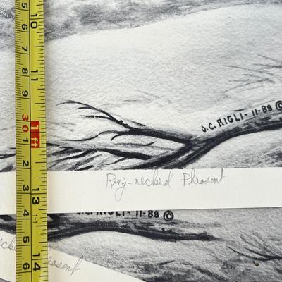 Lot 232 Lot of bird prints