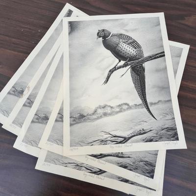 Lot 232 Lot of bird prints