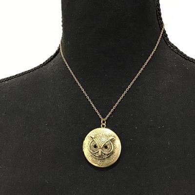 Antique bronze tone owl, Round, locket necklace