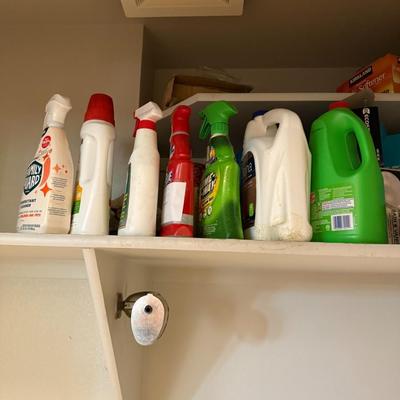 Sale Photo Thumbnail #338: Lot of fluids and light bulbs