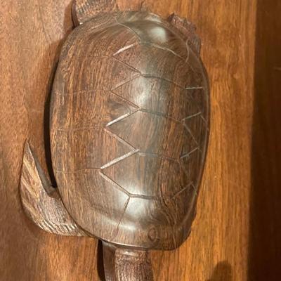 Rosemeade squirrel and wood turtle
