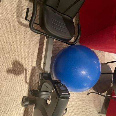 Schwinn 5p recumbent bike & ball