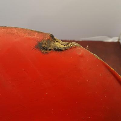Red Fireman Helmet Company 3