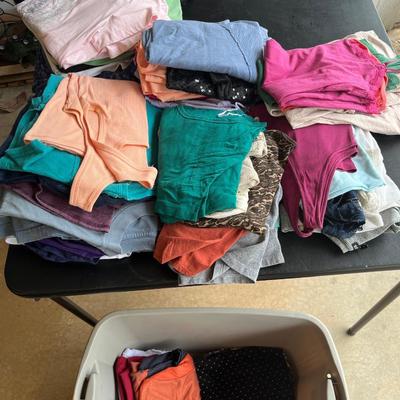 Sale Photo Thumbnail #220: Tote full of women's clothing, mostly short-sleeved tops sizes medium-XL