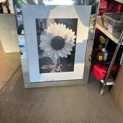 Sale Photo Thumbnail #491: Mirror framed picture - see pics for details