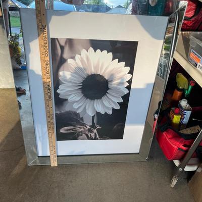Sale Photo Thumbnail #492: Mirror framed picture - see pics for details