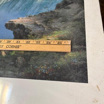 Lot 337 Niagra Falls Print