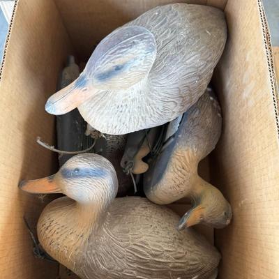 Sale Photo Thumbnail #220: Set of vintage plastic duck hunting decoys with attached weights and cords. Natural coloration and weathered texture. Ideal for hunting, cabin decor, or rustic themes.