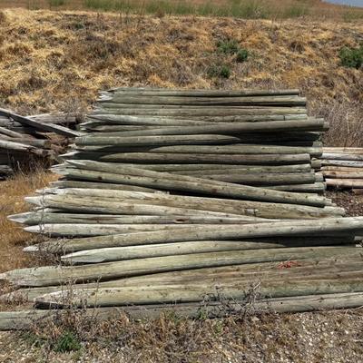 Sale Photo Thumbnail #367: Stack of Treated Fence Posts (Approx. 25)