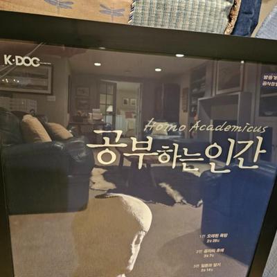 Sale Photo Thumbnail #136: Framed Korean Documentary Release Poster

Description: “The Studying Human”
Dimensions: 39x27
Damage: Normal wear