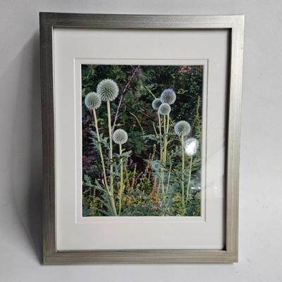 Sale Photo Thumbnail #222: DM67. Pair of Framed and Matted Photograph of Dandelions 

Dimensions: 12x15x1
Damage: Normal wear