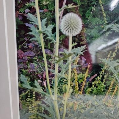Sale Photo Thumbnail #226: DM67. Pair of Framed and Matted Photograph of Dandelions 

Dimensions: 12x15x1
Damage: Normal wear