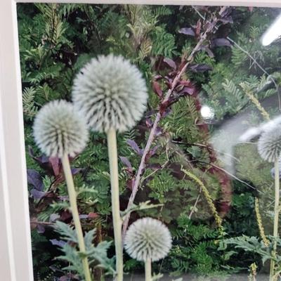 Sale Photo Thumbnail #224: DM67. Pair of Framed and Matted Photograph of Dandelions 

Dimensions: 12x15x1
Damage: Normal wear