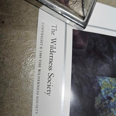 Sale Photo Thumbnail #242: Commemorative Poster of the 25th Anniversary of The Wilderness Act

Dimensions: 24x36
Damage: Normal wear